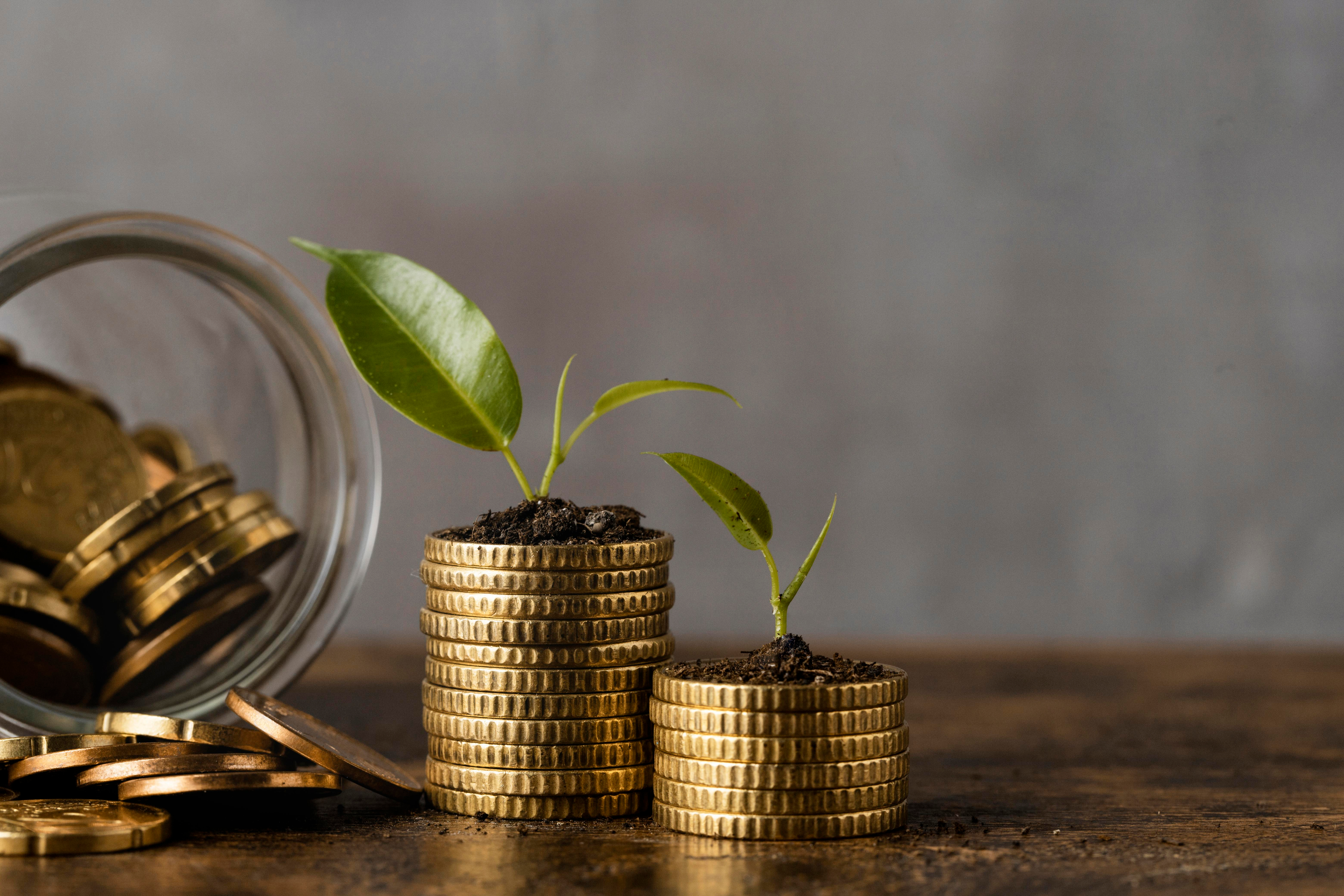 Fixed Deposit